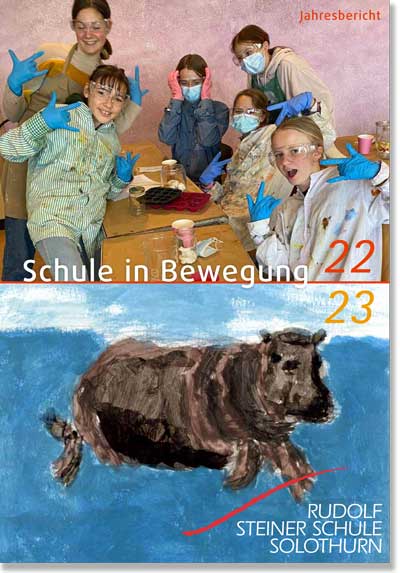 Steiner Schule Solothurn Jahresbericht